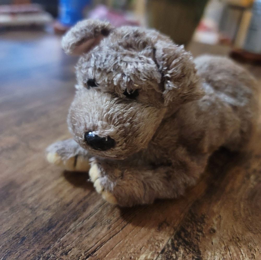 TY Cutesy the Puppy Beanie Baby